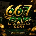 667 game download and registration guide with games, rewards, spins, missions, and wallet features.